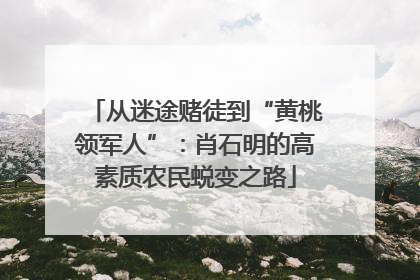 从迷途赌徒到“黄桃领军人”：肖石明的高素质农民蜕变之路
